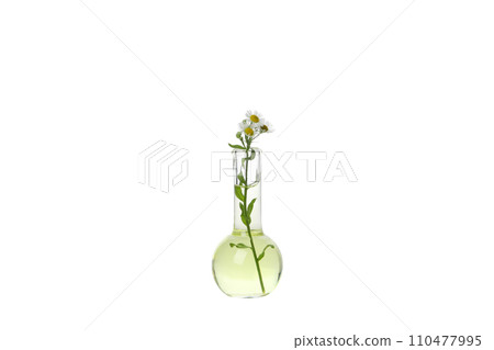 PNG, Test tube with flowers, isolated on white background 110477995