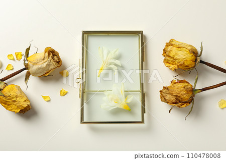 Dried yellow roses and white flowers under glass on light background, top view Dried yellow roses and white flowers under glass on light background, top view 110478008