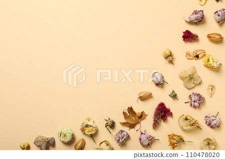 Dried flower buds on beige background, space for text Dried flower buds on beige background, space for text 110478020