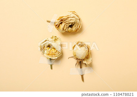 Dried buds of white roses on beige background, top view 110478021