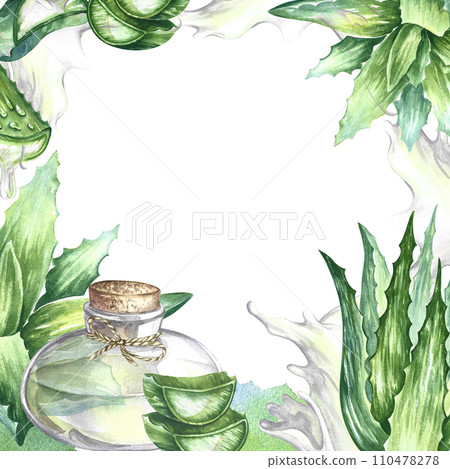 The frame is made of aloe vera. Crushed pieces and aloe vera gel. Hand painted with watercolors. For labels and packaging of cosmetics, perfumes and medicines. For stickers, prints and posters. 110478278