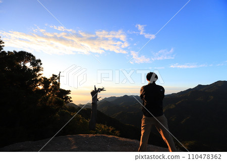 Yakushima Taikoiwa 110478362