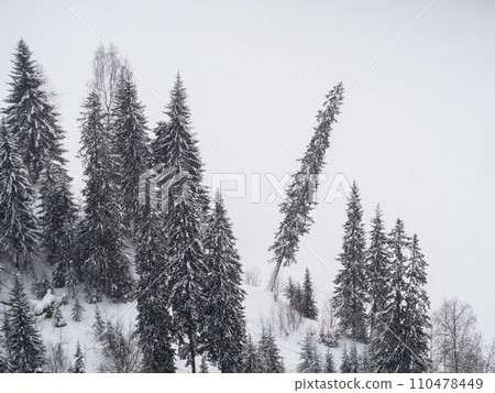 Fir trees covered with hoarfrost and snow in winter mountains - Christmas snowy background. Copy space. 110478449