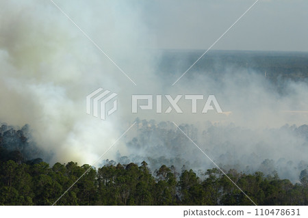 Aerial view of large wildfire burning severely in Florida jungle woods. Hot flames with dense smoke in tropical forest 110478631