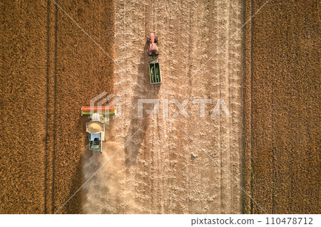 Aerial view of combine harvester and cargo trailer working during harvesting season on large ripe wheat field. Agriculture and transportation of raw grain concept 110478712