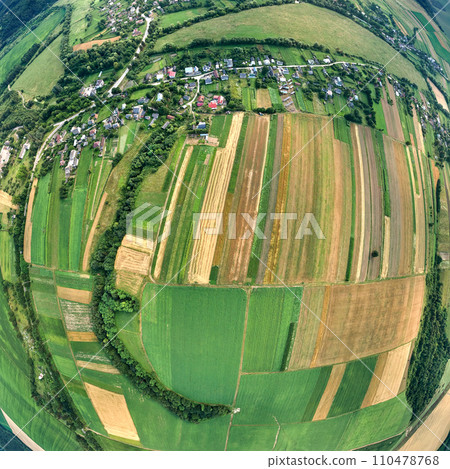 Aerial landscape view of green cultivated agricultural fields with growing crops and distant village houses 110478768