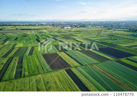 Aerial landscape of green farmland in summer season with growing crops. Agricultural cultivated field. Farming and agriculture industry 110478770