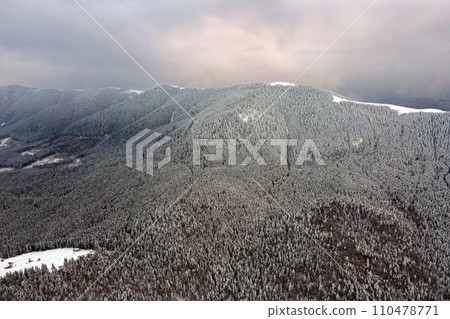 Aerial foggy landscape with evergreen pine trees covered with fresh fallen snow after heavy snowfall in winter mountain forest on cold quiet evening. Aerial foggy landscape with evergreen pine trees covered with fresh fallen snow after heavy snowfall in winter mountain forest on cold quiet evening. 110478771