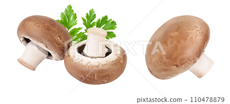 Royal Brown champignon isolated on white background with full depth of field 110478879
