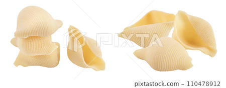 Conchiglioni italian pasta isolated on white background with  full depth of field 110478912