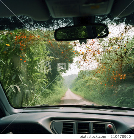 Travel in the tropical jungle. View from the car window of the forest, trees, vines, flowers, road, southern landscape. Travel in the tropical jungle. View from the car window of the forest, trees, vines, flowers, road, southern landscape. 110478960