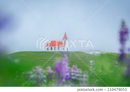 Holy Ingjaldsholskirkja church on hill with lupine flower blooming in foggy on summer at Iceland 110479053