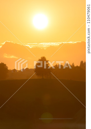 Golden sunrise over peaceful village and tree on hill in rural scene 110479061