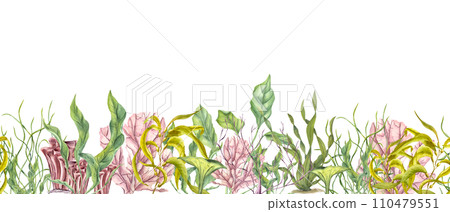 Horizontal seamless banner with undersea plants, corals. Green, yellow kelps, colored polyps. Lagoon underwater world. Marine fauna. Watercolor illustration. Aquarium design, print, card Horizontal seamless banner with undersea plants, corals. Green, yellow kelps, colored polyps. Lagoon underwater world. Marine fauna. Watercolor illustration. Aquarium design, print, card 110479551