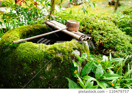 Mossy Tsukubai in Japanese garden Mossy Tsukubai in Japanese garden 110479757