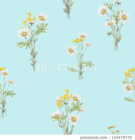 Seamless pattern Watercolor Daisy and tansy. Hand drawn illustration of Chamomile. bouquet of white blossom flowers on isolated background. Drawing botanical clipart invitation cards. Paint wildflower 110479778