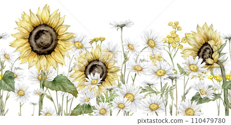 Seamless border Watercolor Daisy and sunflower. Hand drawn illustration of Chamomile. bouquet of white blossom flowers on isolated background. Drawing botanical clipart invitation cards. 110479780