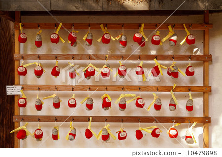 Hello, my little otago 110479898