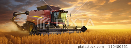 Combine harvester in a soybean field harvesting soybeans at sunset, banner 110480361