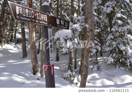 Tateshina mountain in winter 110481115