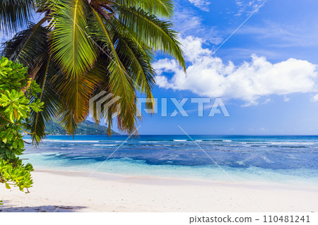 Beau Vallon beach, Seychelles. Coastal landscape with palm tree and white sand under cloudy sky Beau Vallon beach, Seychelles. Coastal landscape with palm tree and white sand under cloudy sky 110481241