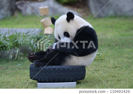 湯濱的牛奶時間 湯濱的牛奶時間 110481420