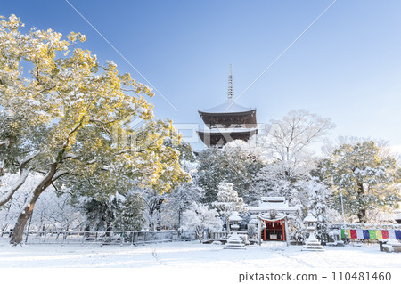 Toji in winter Toji in winter 110481460