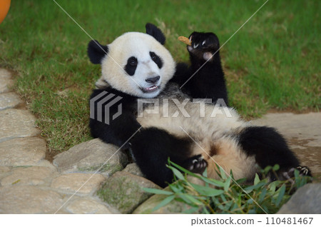 Yuuhama looks happy after getting a snack 110481467