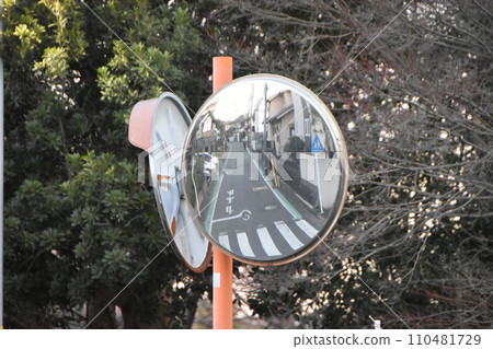 曲面鏡反射的冬季住宅區 曲面鏡反射的冬季住宅區 110481729