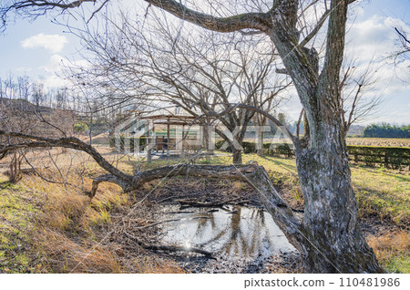 Kagenuma in Kagamiishi Town, Fukushima Kagenuma in Kagamiishi Town, Fukushima 110481986