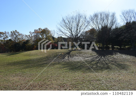 Winter scenery of Kanagawa Prefectural Chigasaki Satoyama Park on a heavy snow day Winter scenery of Kanagawa Prefectural Chigasaki Satoyama Park on a heavy snow day 110482119