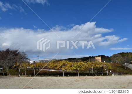 高崎市禦鄉交流公園的冬景 110482255