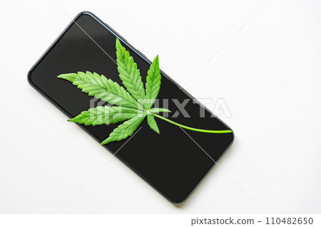 Smartphone with cannabis leaf on the screen isolated on white background. Smartphone with cannabis leaf on the screen isolated on white background. 110482650