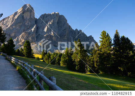 Trail with wooden railings leading to Munt de Fornella through alpine meadow 110482915