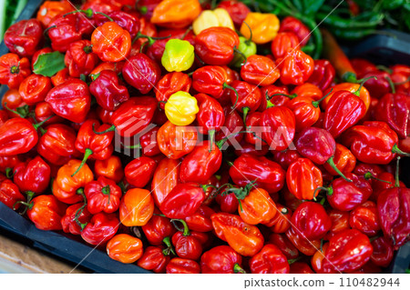 Photo shows garden stuff shop window with display of red chilli pepper. 110482944