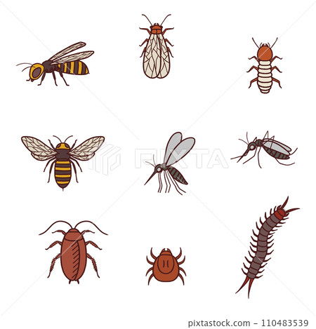 逼真的害蟲插圖集，如蜜蜂、蟑螂、蟎蟲等。 110483539
