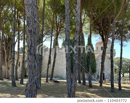Park around the monastery on Mount Filerimos Park around the monastery on Mount Filerimos 110483772