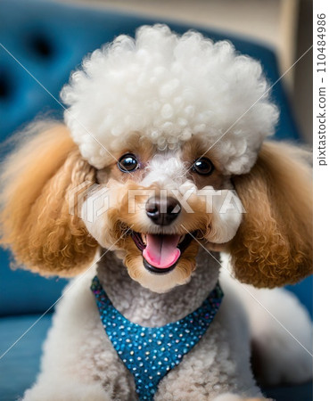 玩具貴賓犬“AI生成圖像” 110484986