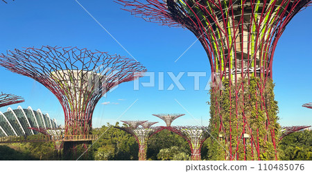 Singapore tourism super tree grove 110485076