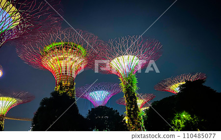 新加坡旅遊勝地濱海灣花園的夜景 新加坡旅遊勝地濱海灣花園的夜景 110485077