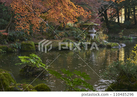 Autumn leaves in the Japanese garden 110485296