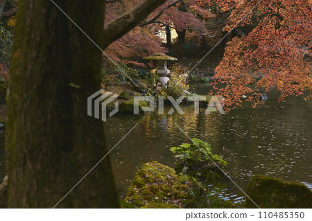 Landscape with autumn leaves and pond Landscape with autumn leaves and pond 110485350