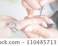 Nail salon_liner brush_designing nails using icing gel 110485713