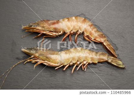 天然海虎蝦 110485966
