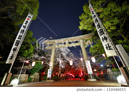 [愛知縣] 愛知縣名古屋市護國神社夜間櫻花燈火通明 110486055