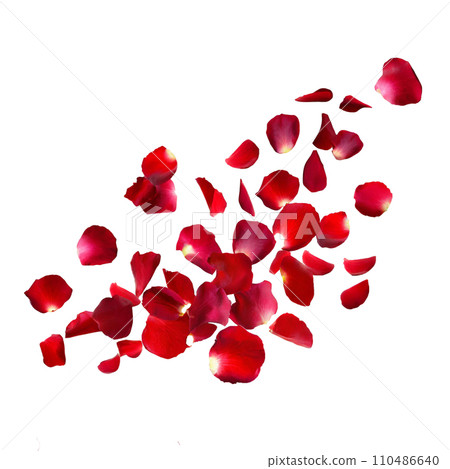 Red rose petals 110486640