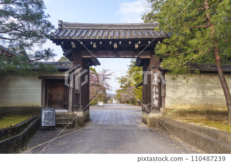 春天的京都仁和寺東門縫隙中可以看到盛開的櫻花（京都市右京區） 110487239