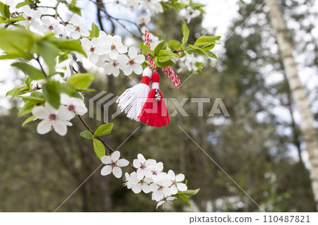 Symbol Martenitsa, Baba Marta, Martisor on blossoming tree branch. Decorations made of red and white thread are traditional in Balkan Bulgaria, Greek, Albania, Romania, Macedonia. Horizontal plane Symbol Martenitsa, Baba Marta, Martisor on blossoming tree branch. Decorations made of red and white thread are traditional in Balkan Bulgaria, Greek, Albania, Romania, Macedonia. Horizontal plane 110487821