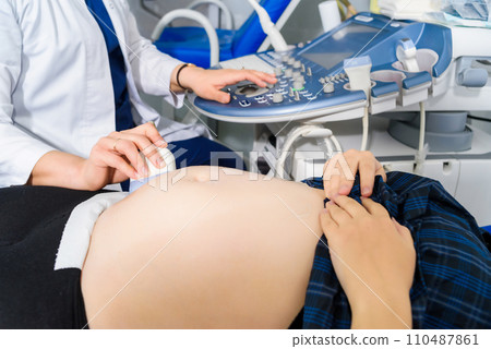 Pregnant women close-up Pregnant women close-up 110487861