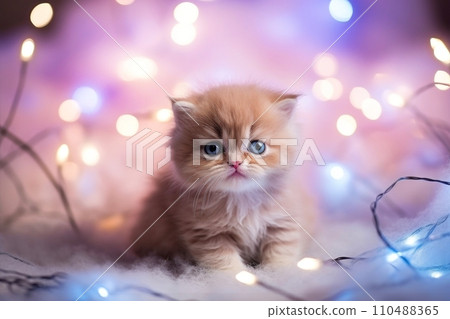 Close-up of cute cat gazing at something with beautiful bokeh background, Generative AI Close-up of cute cat gazing at something with beautiful bokeh background, Generative AI 110488365